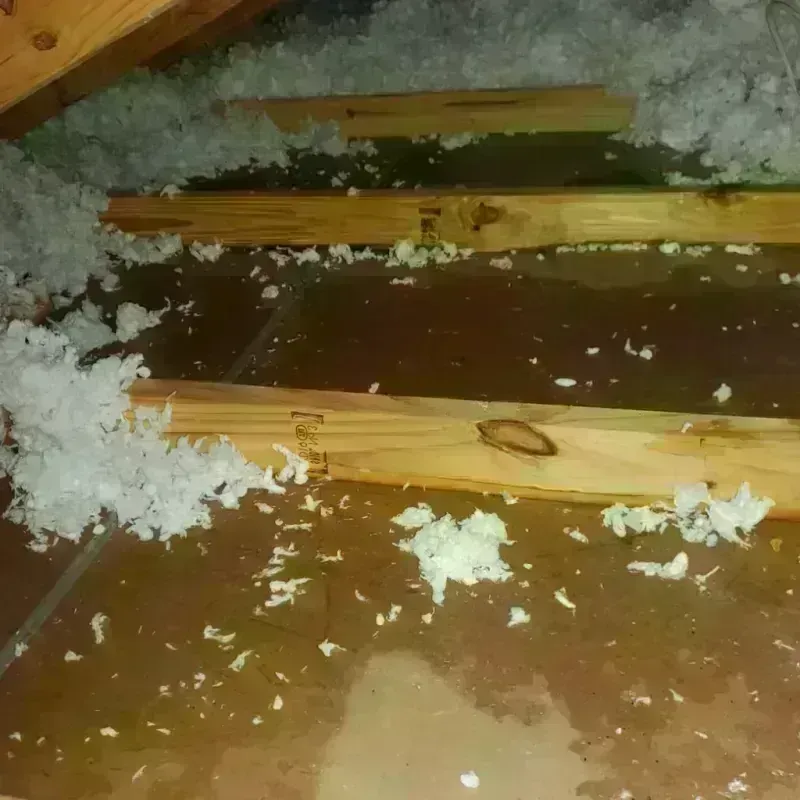 Attic Water Damage in Ashtabula, OH